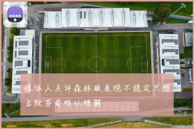 媒体人点评森林狼表现不稳定只想击败芬奇难以理解